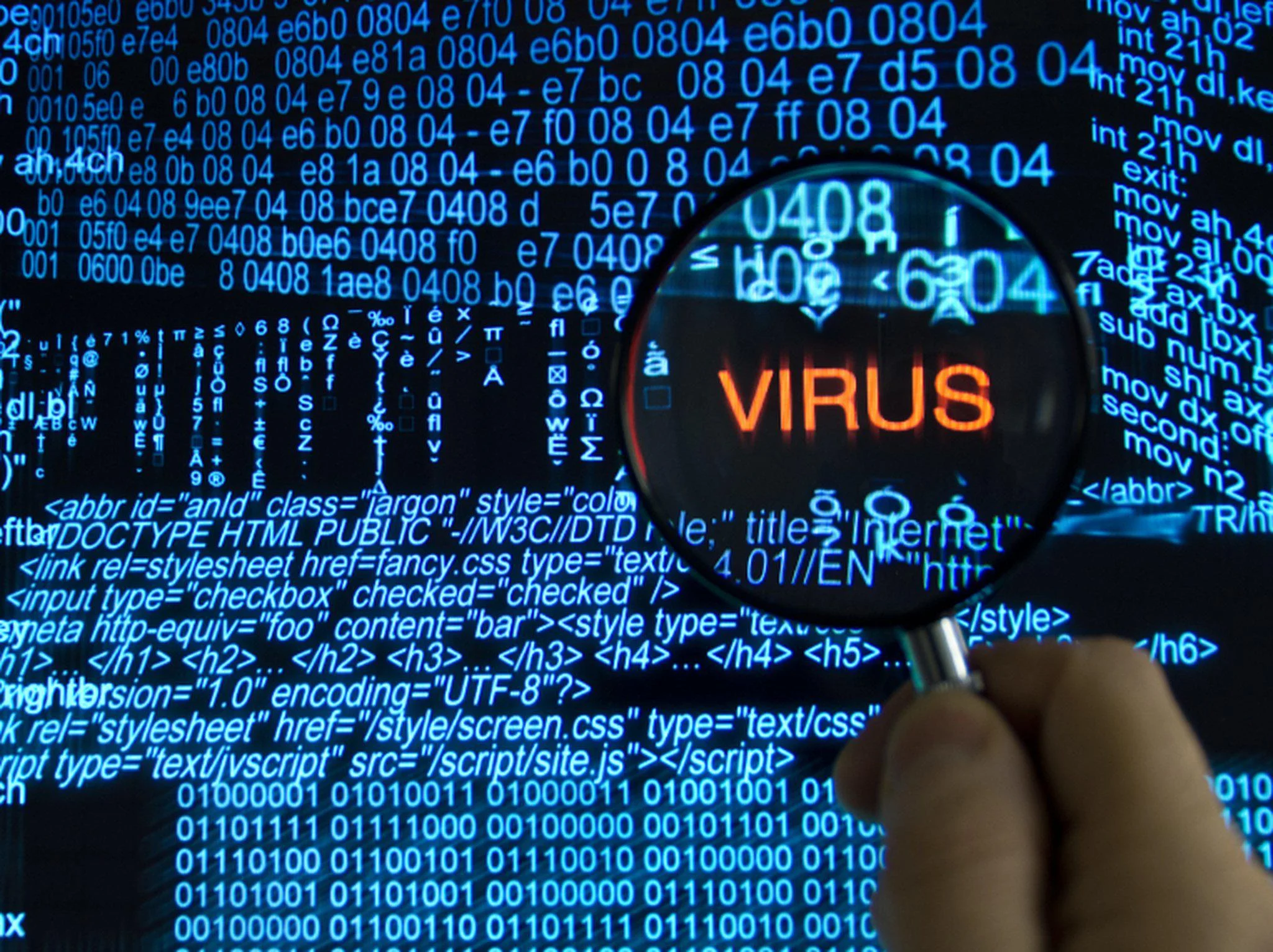 Computer Viruses. 5 Important things to know