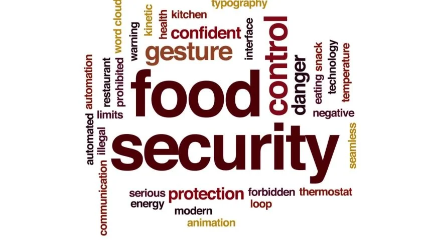 The Food Security Information