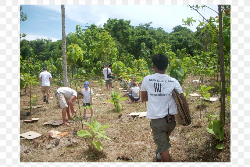 Forests and Forest Conservation