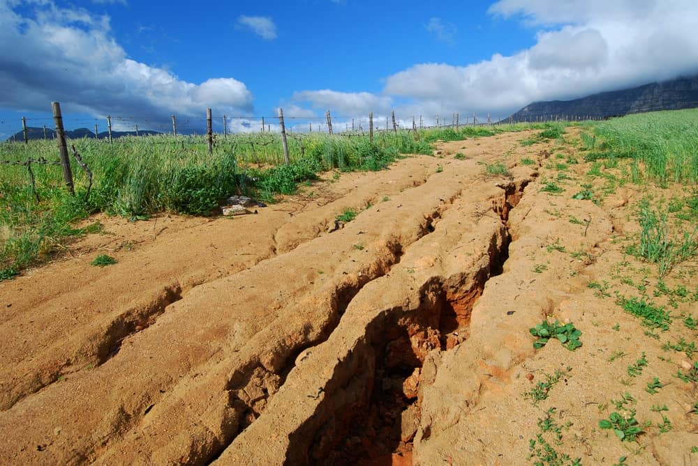 SOIL EROSION AND CONSERVATION