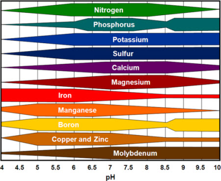 Soil pH | SOIL ACIDITY AND ALKALINITY