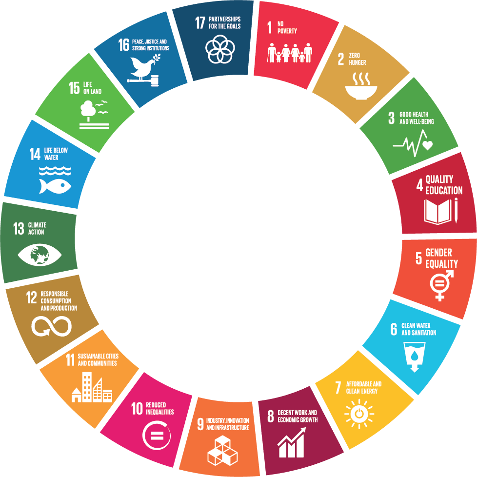 Structural features of developing countries